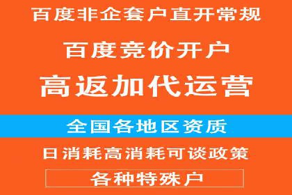 SEM服务托管：提升广告效果的成功案例解析